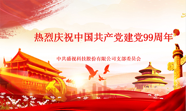 盛视党建动态|新利(中国)xinli·官方网页版,党组织开展庆祝建党99周年主题党日活动